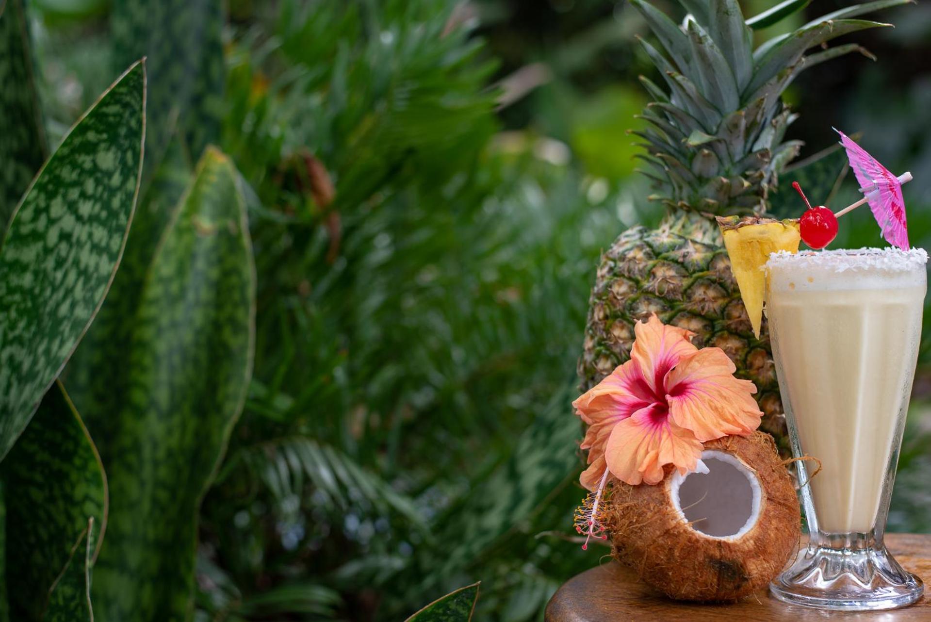 Hotel Banana Azul - Adults Only Puerto Viejo de Talamanca 외부 사진